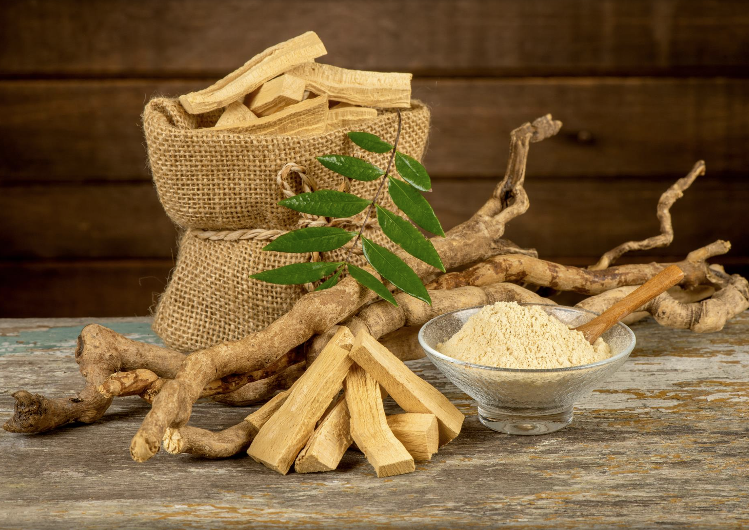 Die Kraft von Tongkat Ali enthüllt: Ein natürliches Wunder für Vitalität