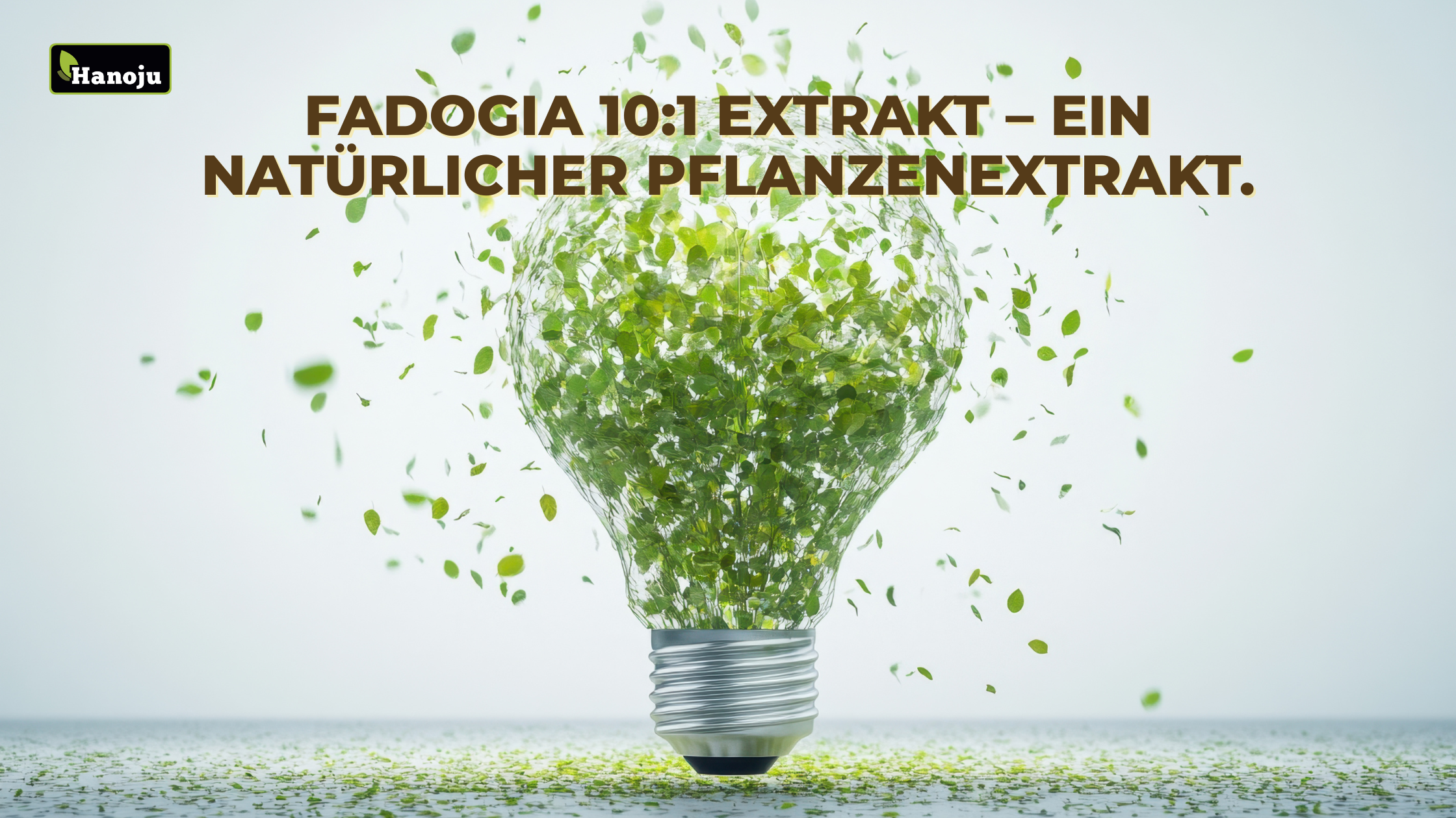 Fadogia 10:1 Extrakt: Vorteile und Anwendung dieses kraftvollen Krauts
