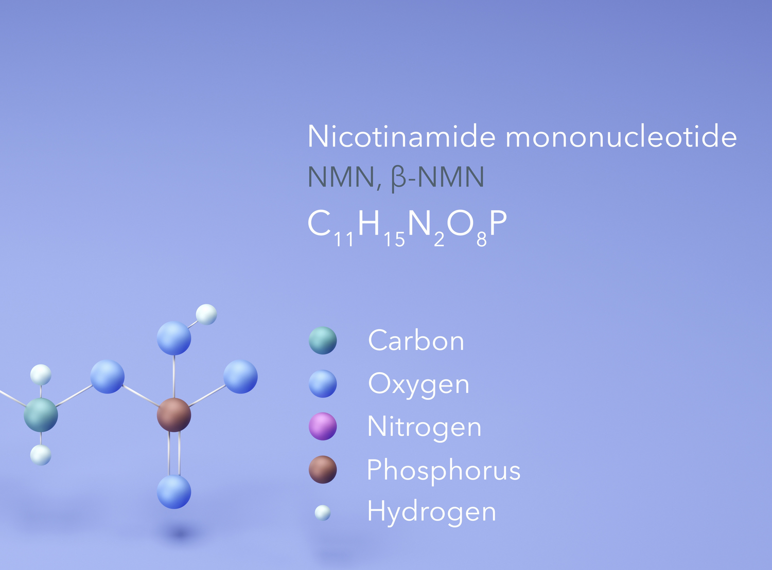 NMN - Der Weg zu mehr Energie und Vitalität im Alter