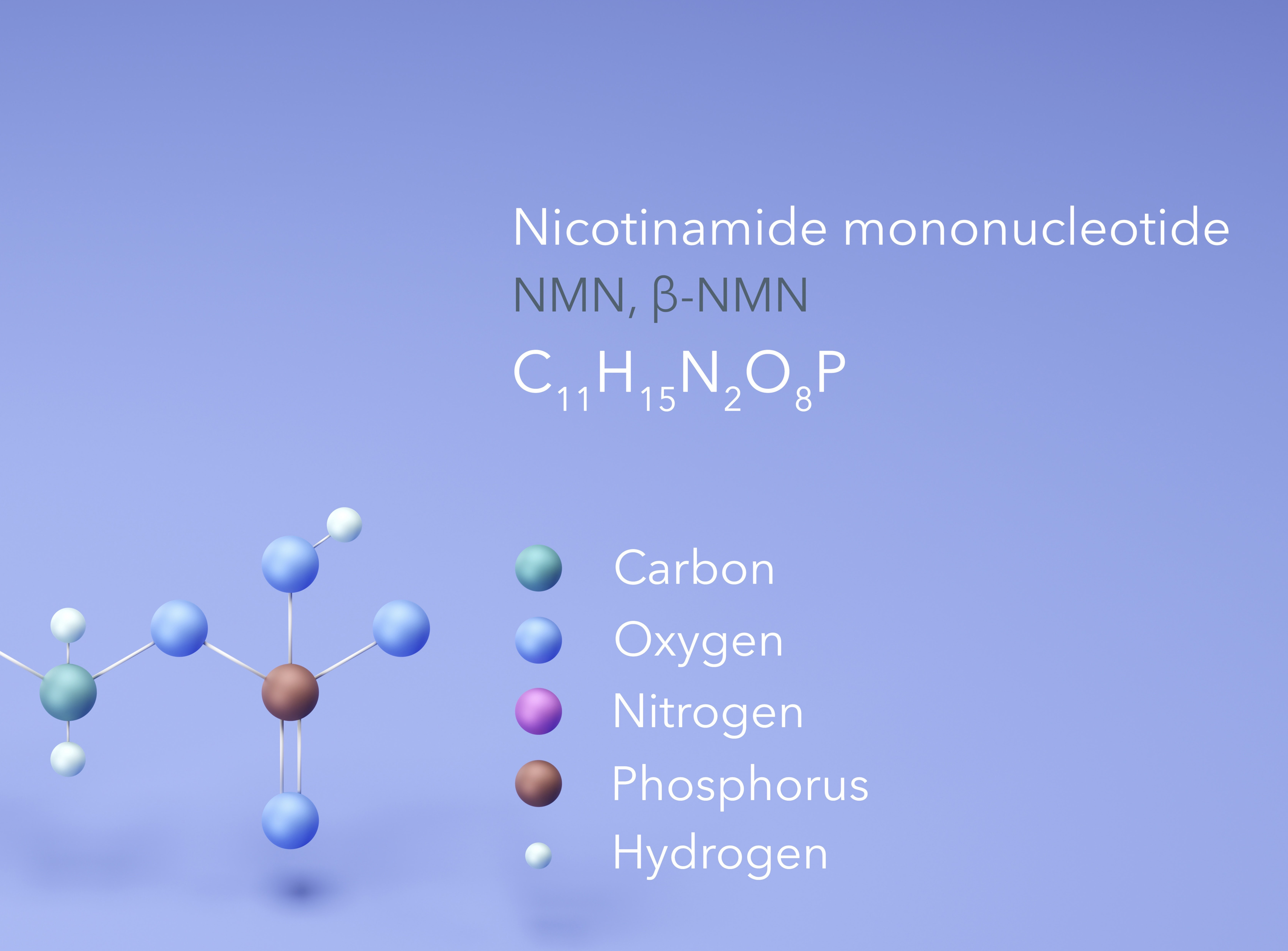 NMN - Der Weg zu mehr Energie und Vitalität im Alter