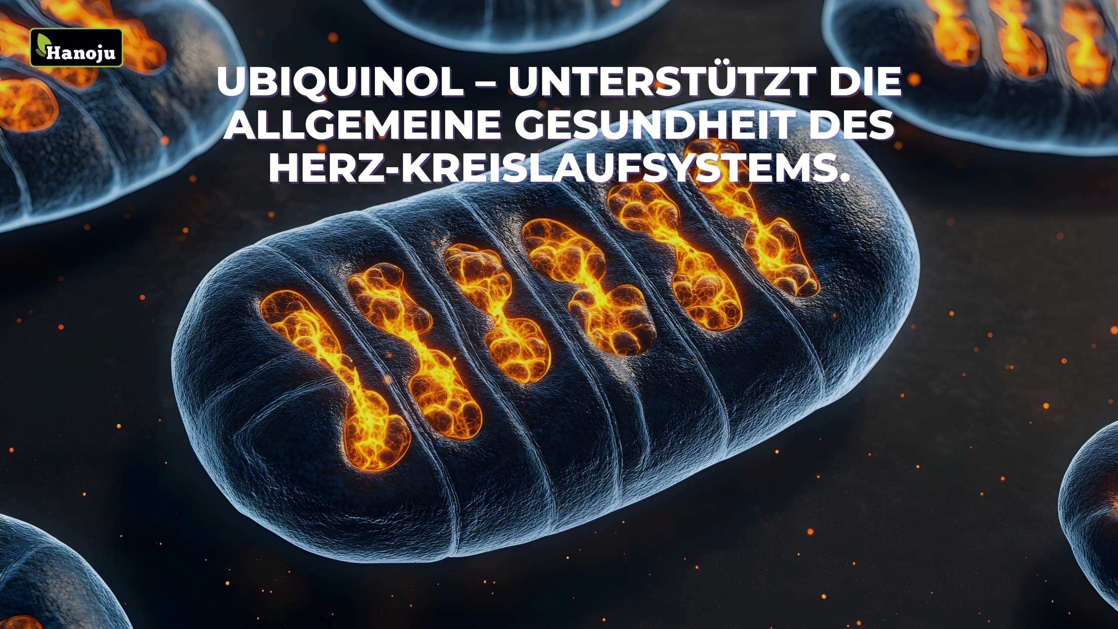 Die Rolle von Ubiquinol zur Unterstützung der Herzgesundheit