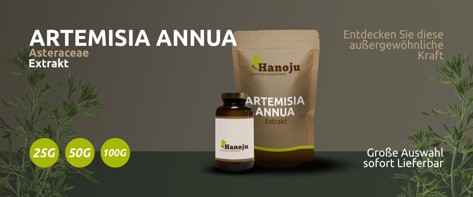 Artemisia Annua