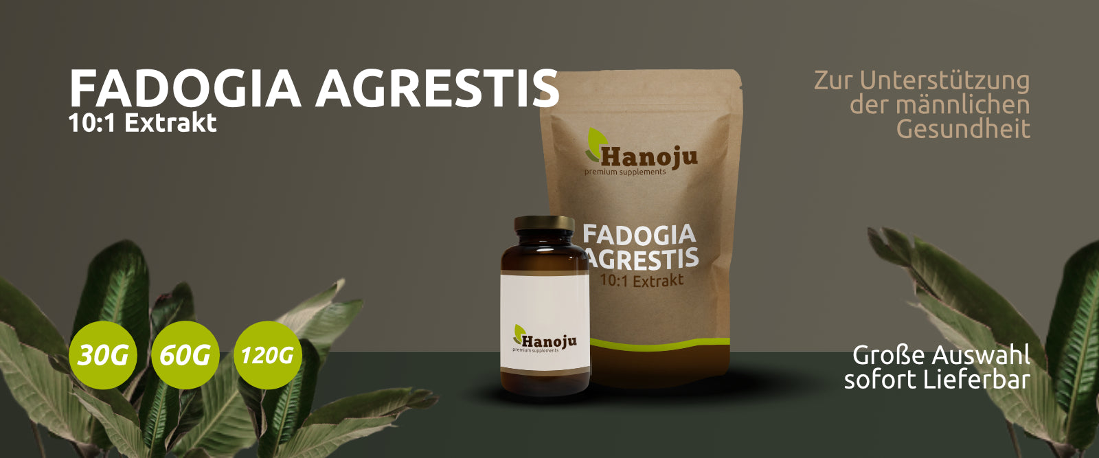 Fadogia