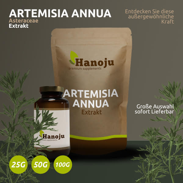 Artemisia Beifuß 5 % Extrakt