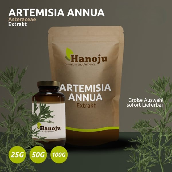 Artemisia Annua