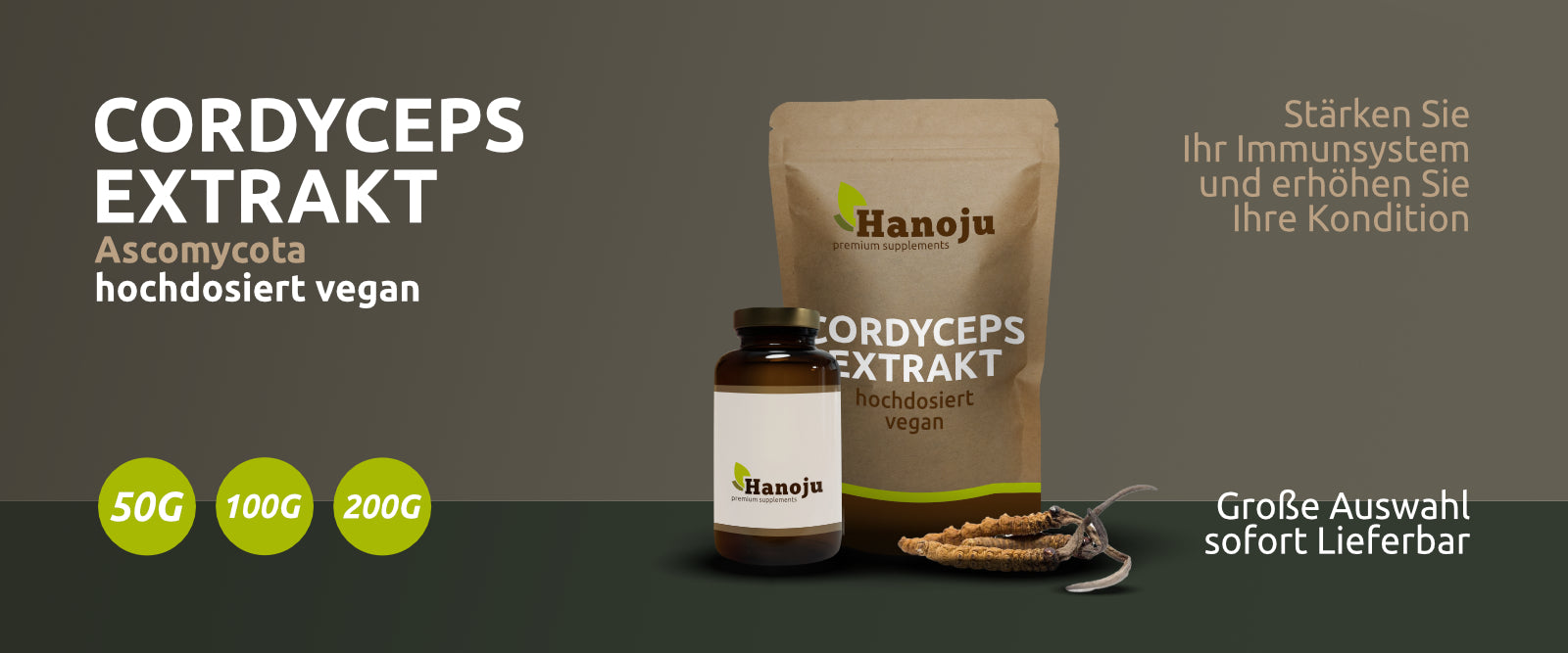 Cordyceps